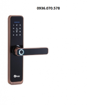 KHOÁ VÂN TAY SGF-1102B